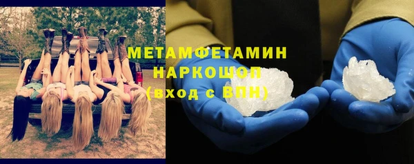 стафф Гусев