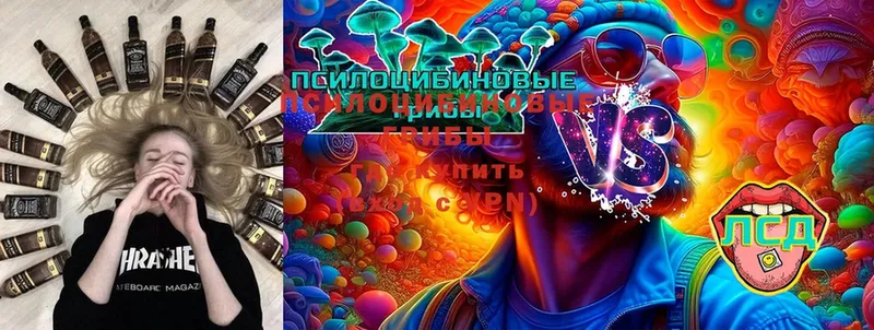 Псилоцибиновые грибы MAGIC MUSHROOMS  Дегтярск 